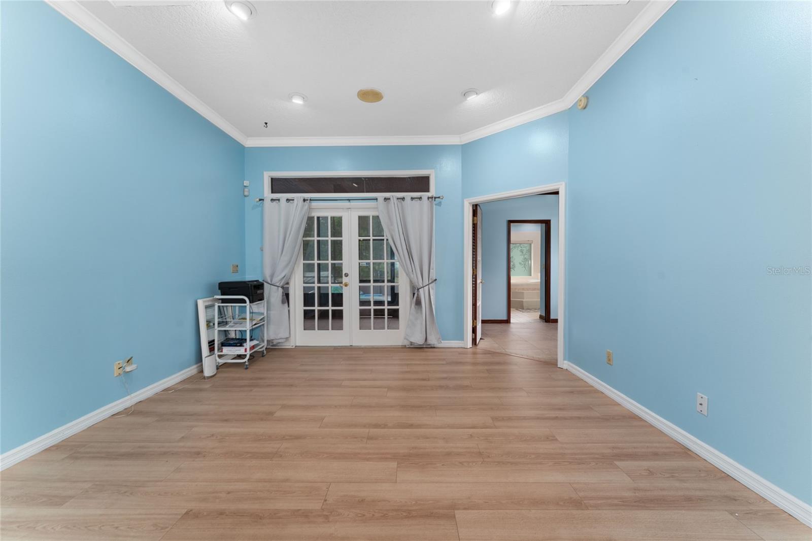 463 N PINE MEADOW DR, DEBARY, FL, 32713
