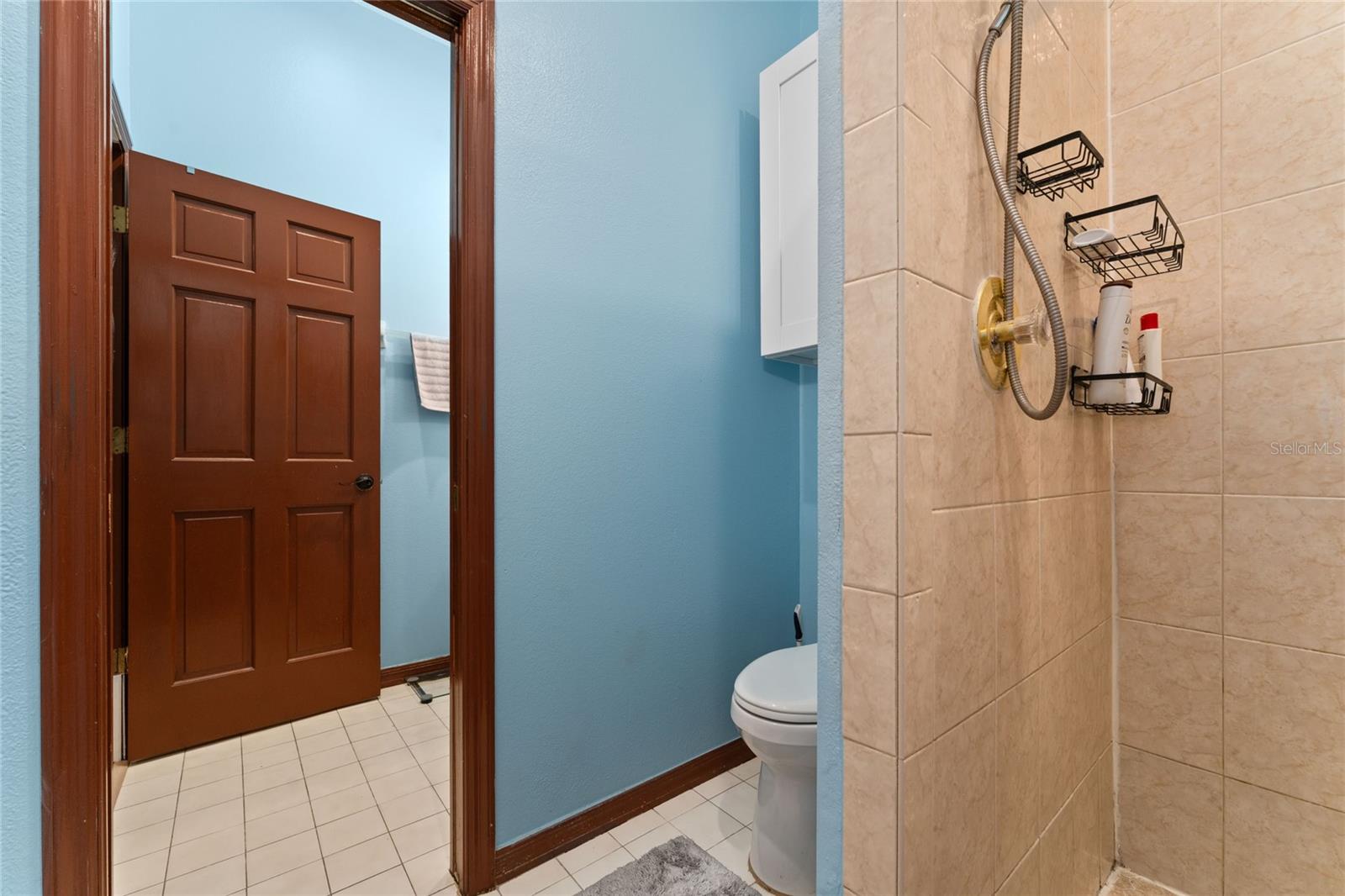 463 N PINE MEADOW DR, DEBARY, FL, 32713