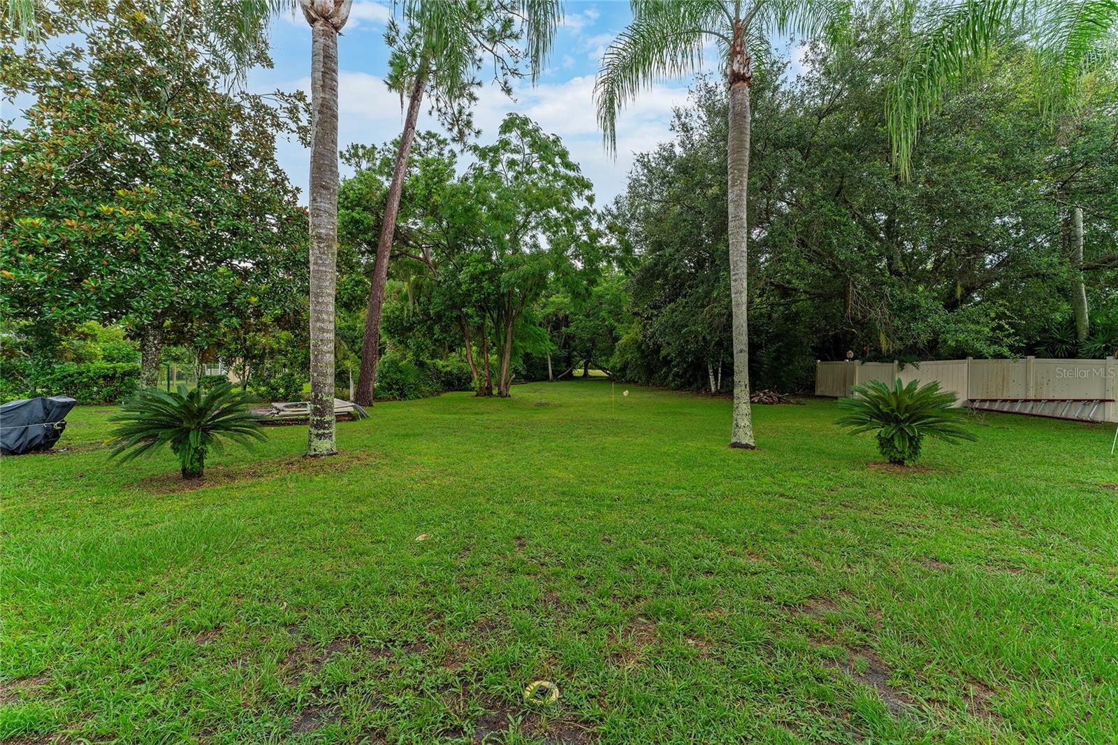 463 N PINE MEADOW DR, DEBARY, FL, 32713