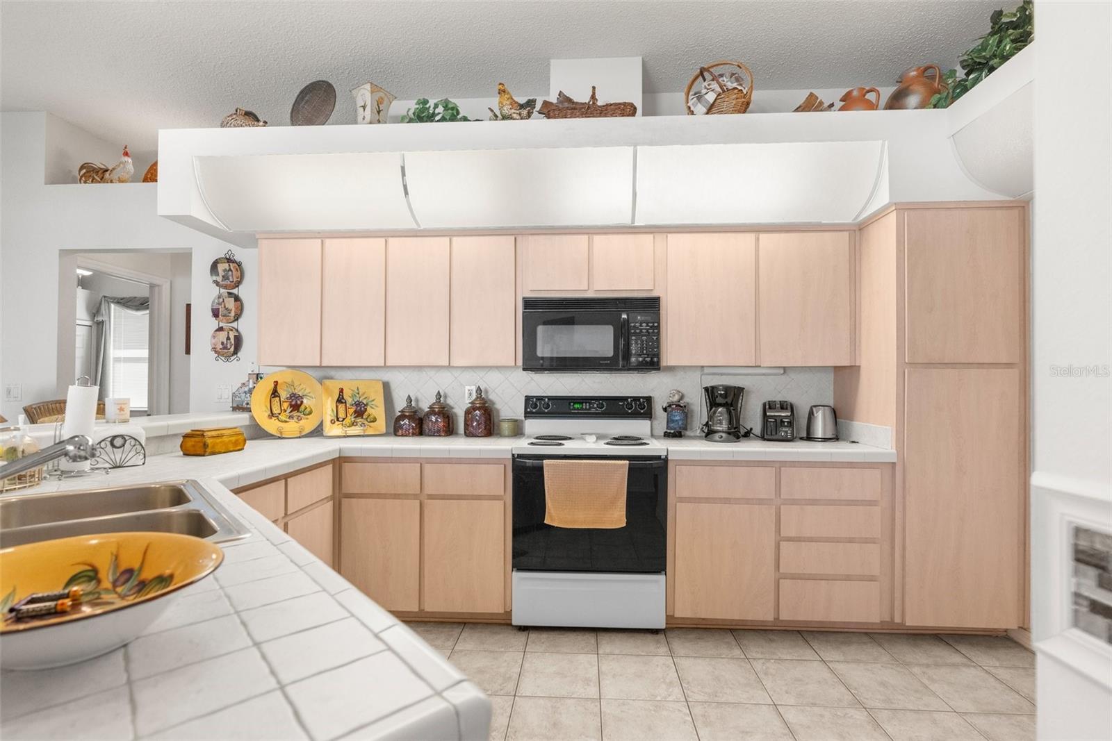 5199 PANTHER DR, SPRING HILL, FL, 34607