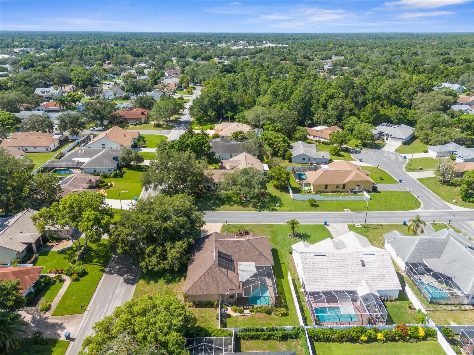 5199 PANTHER DR, SPRING HILL, FL, 34607