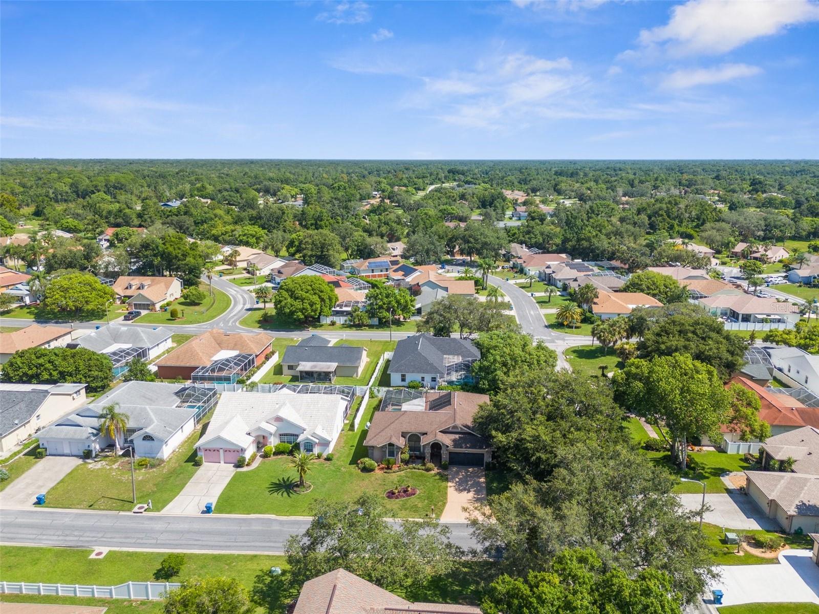 5199 PANTHER DR, SPRING HILL, FL, 34607