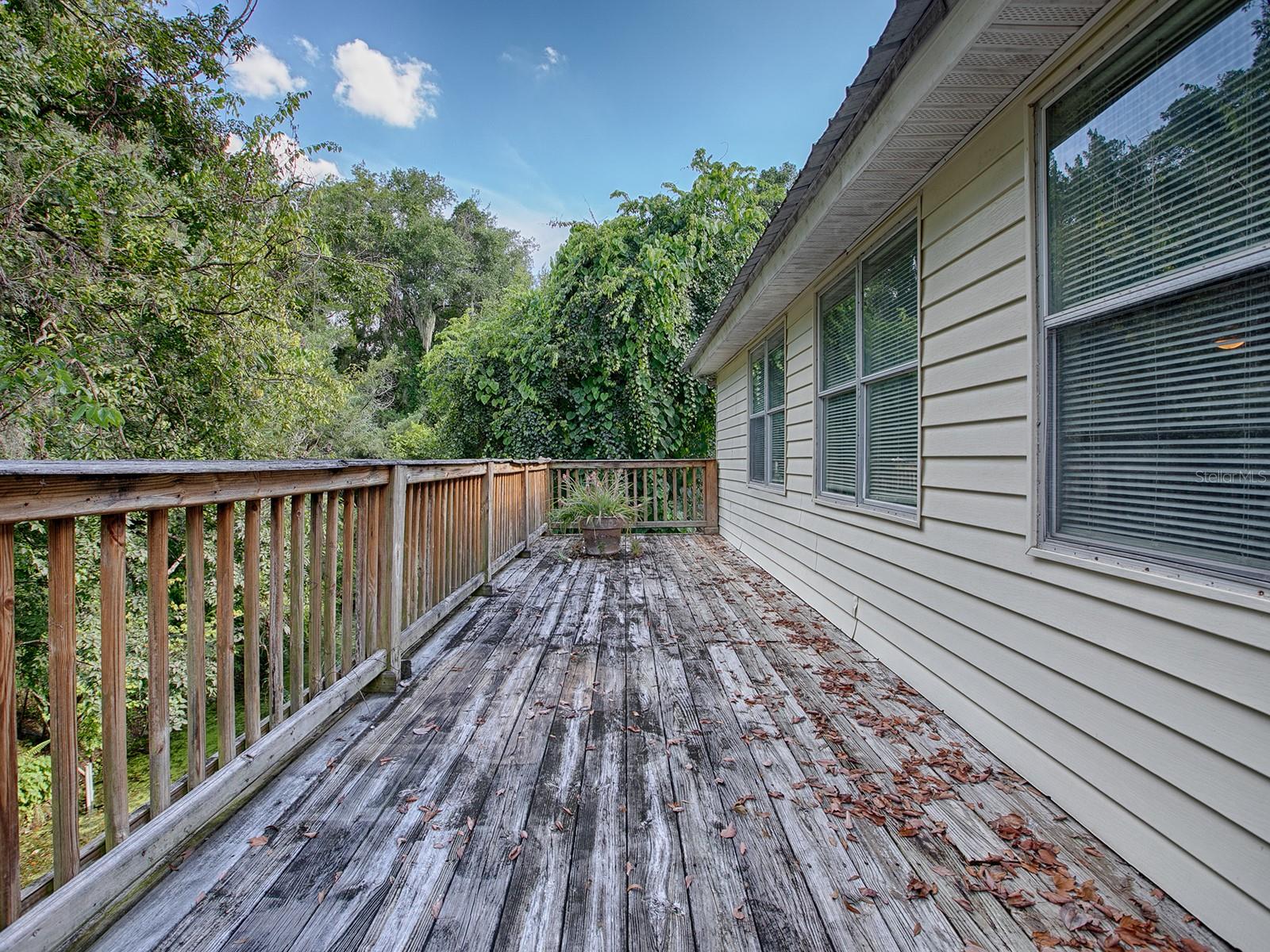 853 CR 484, LAKE PANASOFFKEE, FL, 33538