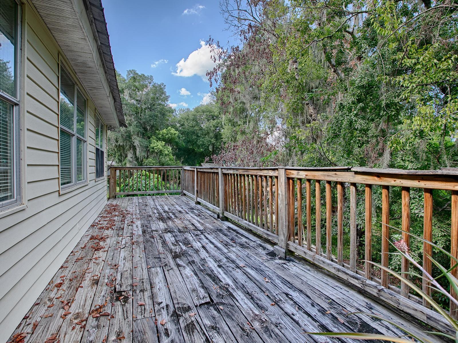 853 CR 484, LAKE PANASOFFKEE, FL, 33538