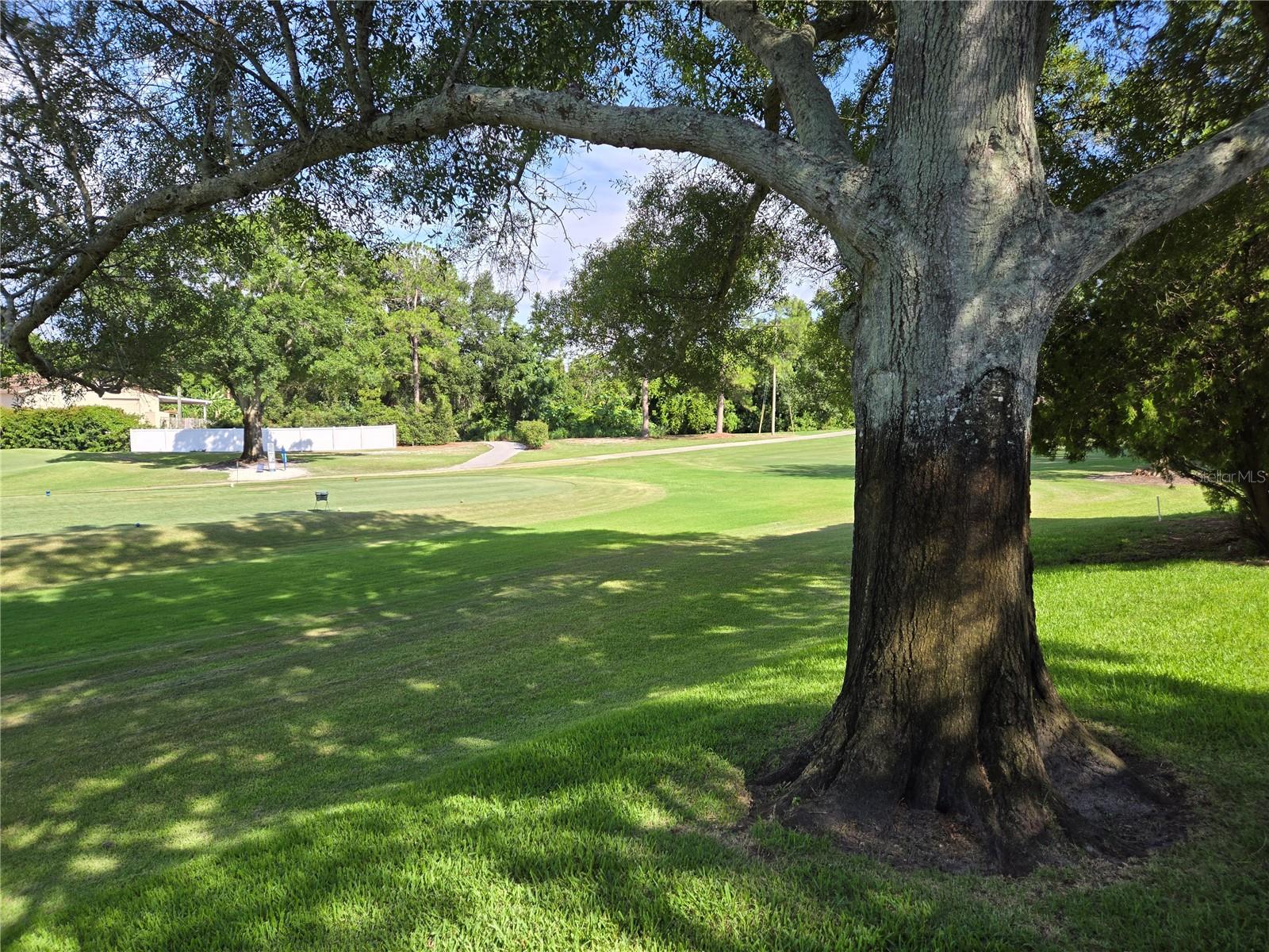 1036 DUNROBIN DR #D, PALM HARBOR, FL, 34684