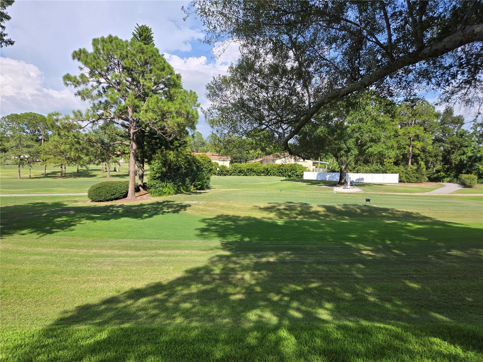 1036 DUNROBIN DR #D, PALM HARBOR, FL, 34684