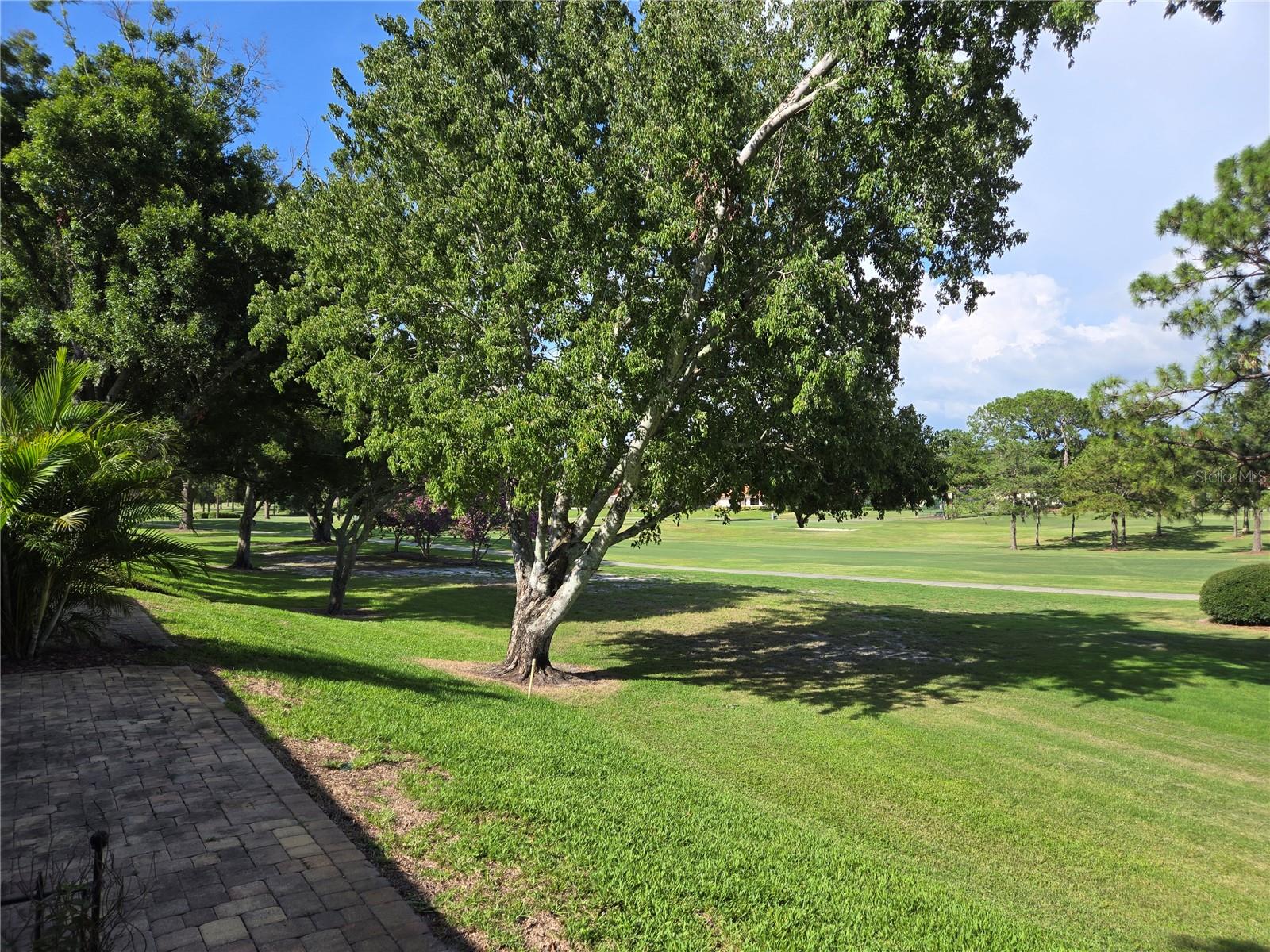 1036 DUNROBIN DR #D, PALM HARBOR, FL, 34684