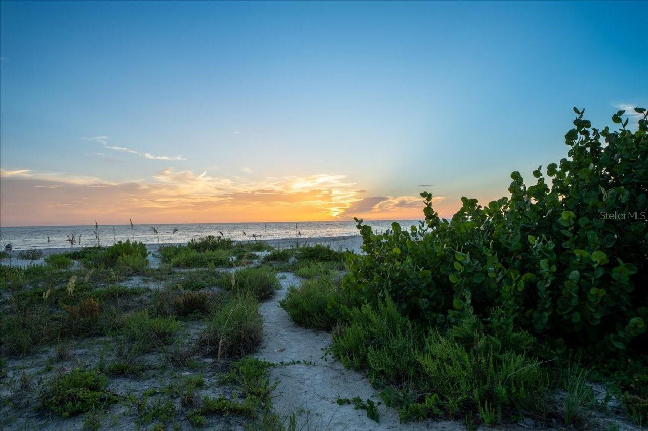 U8251980 Property Photo