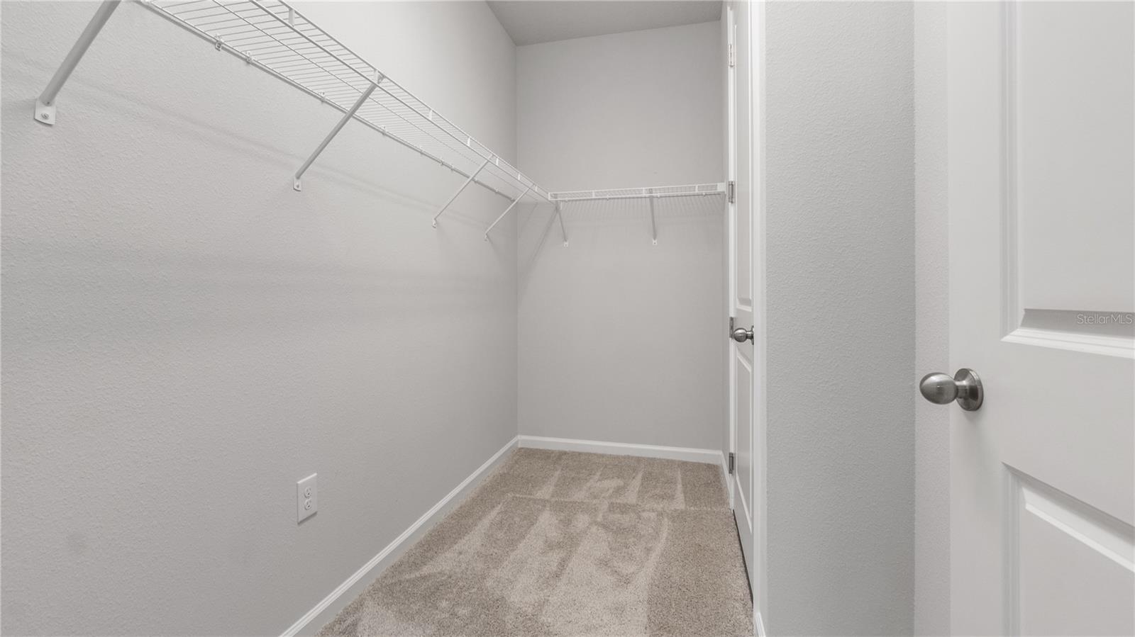 11406 BLUE WOODS DR, RIVERVIEW, FL, 33569