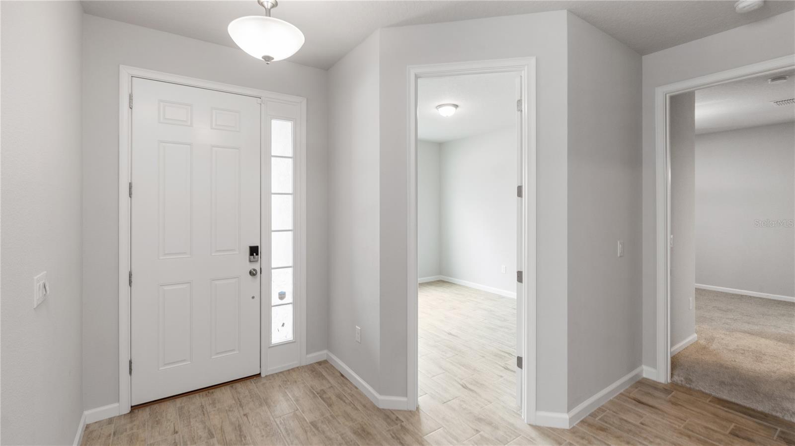 11406 BLUE WOODS DR, RIVERVIEW, FL, 33569