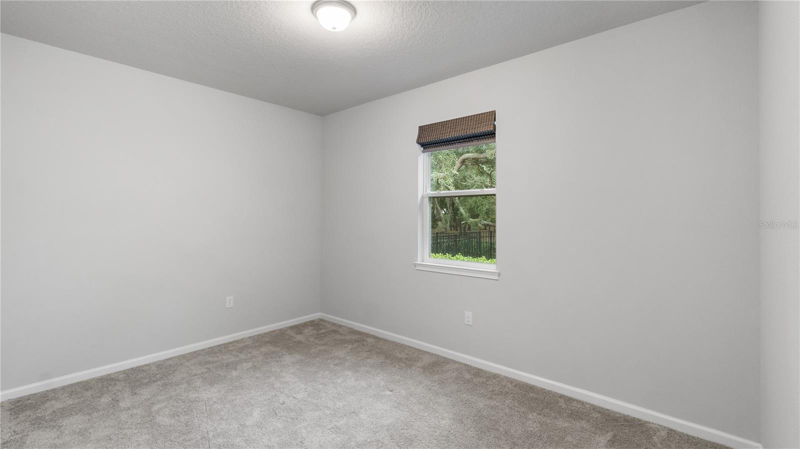 11406 BLUE WOODS DR, RIVERVIEW, FL, 33569