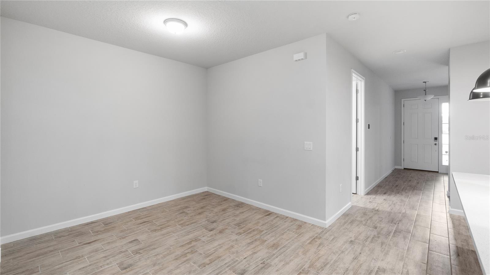11406 BLUE WOODS DR, RIVERVIEW, FL, 33569