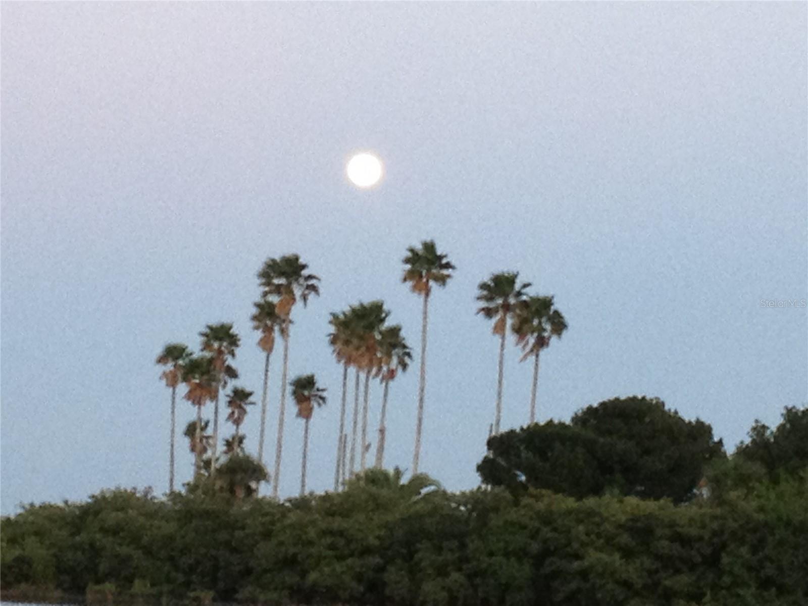 440 BOUCHELLE DR #104, NEW SMYRNA BEACH, FL, 32169