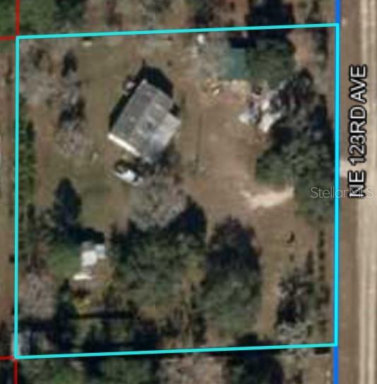 1290 NE 123RD AVE, WILLISTON, FL, 32696
