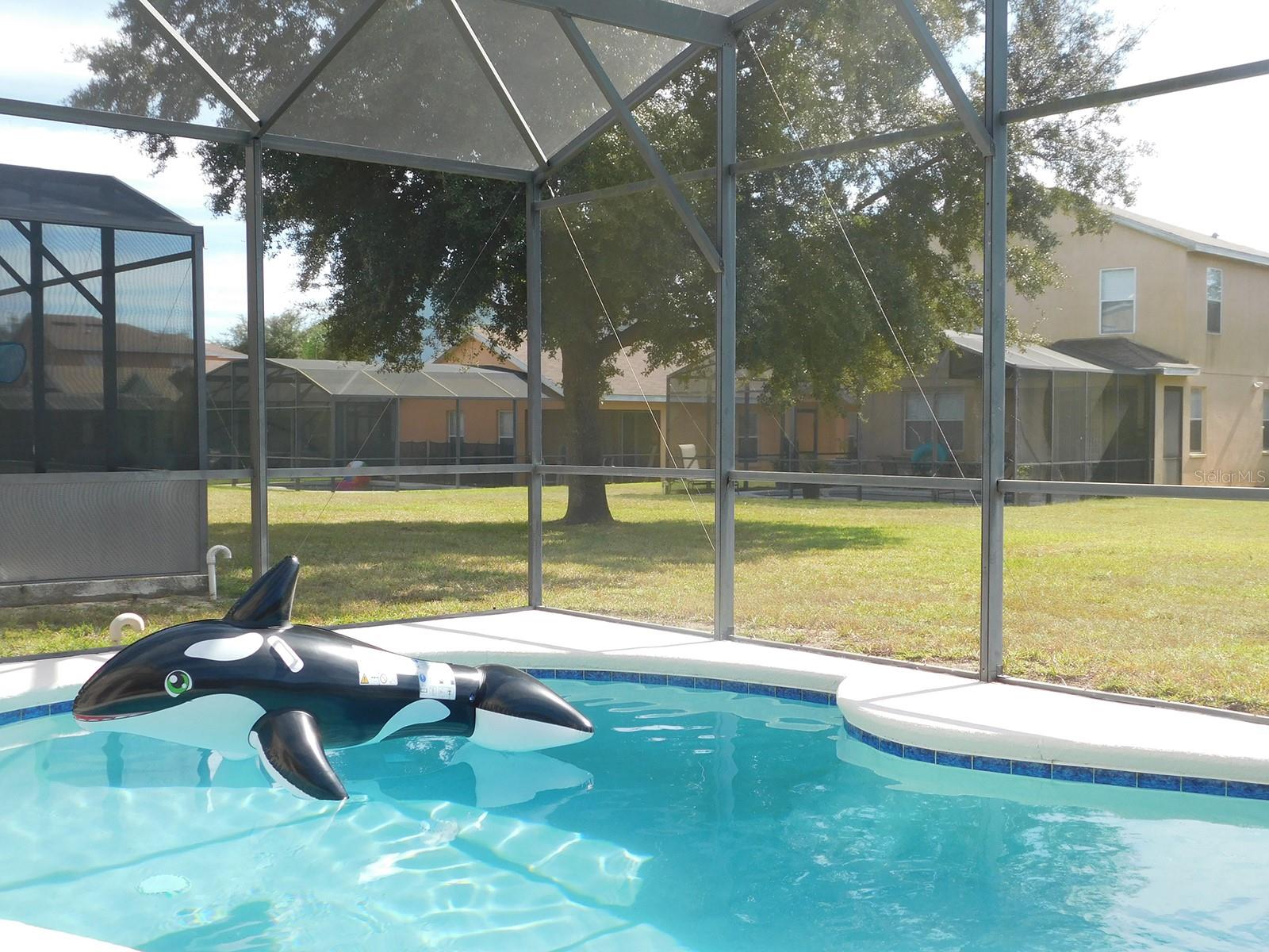 309 BLUE JAY WAY, DAVENPORT, FL, 33896