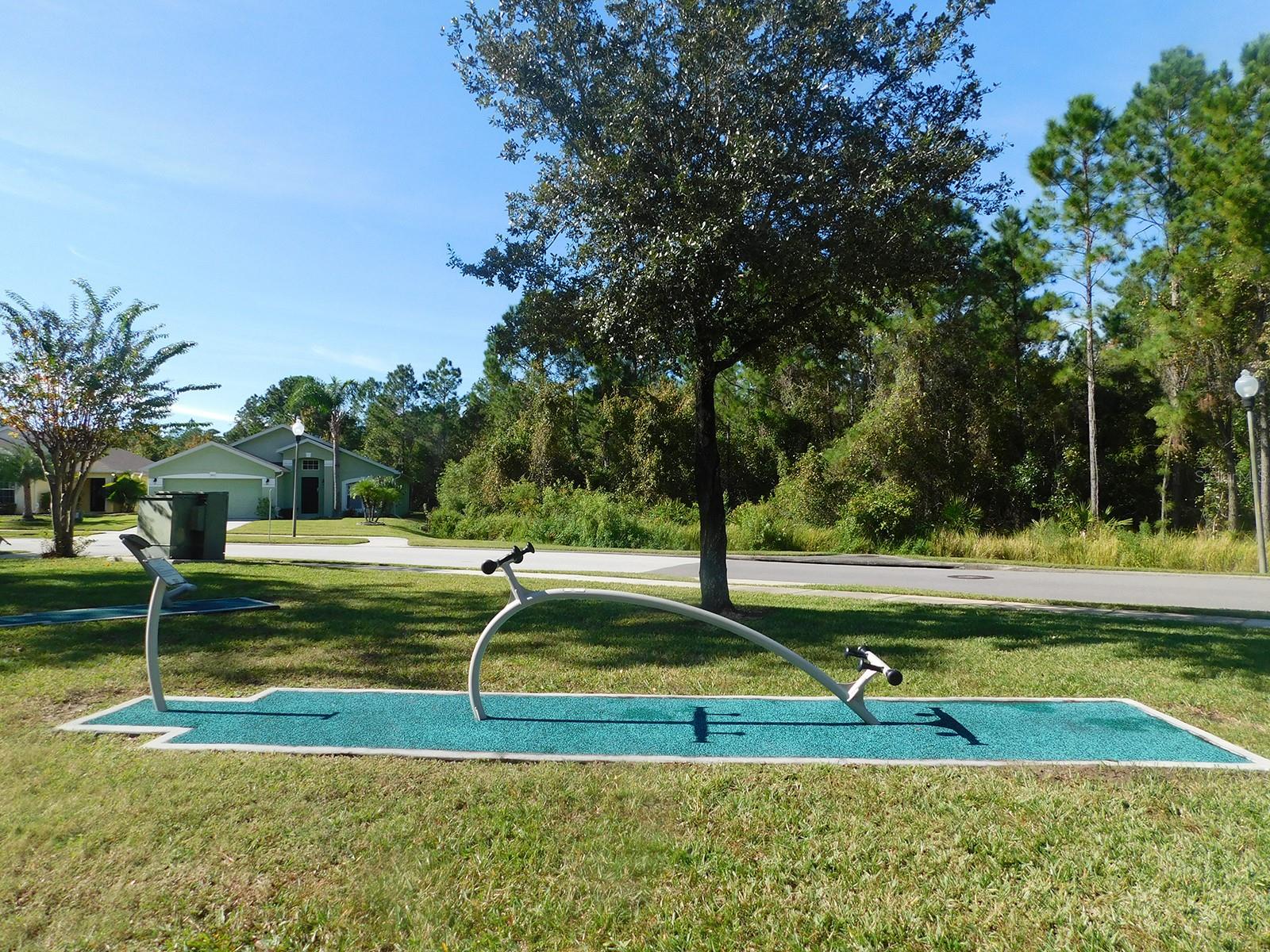309 BLUE JAY WAY, DAVENPORT, FL, 33896
