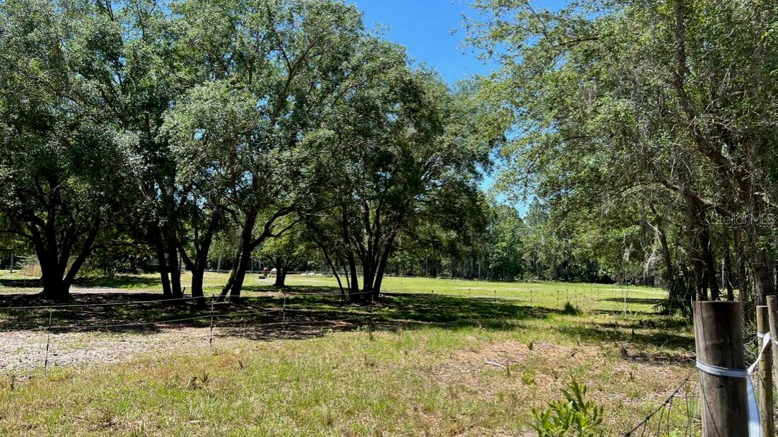 2331 WACCASSA ST, GENEVA, FL, 32732