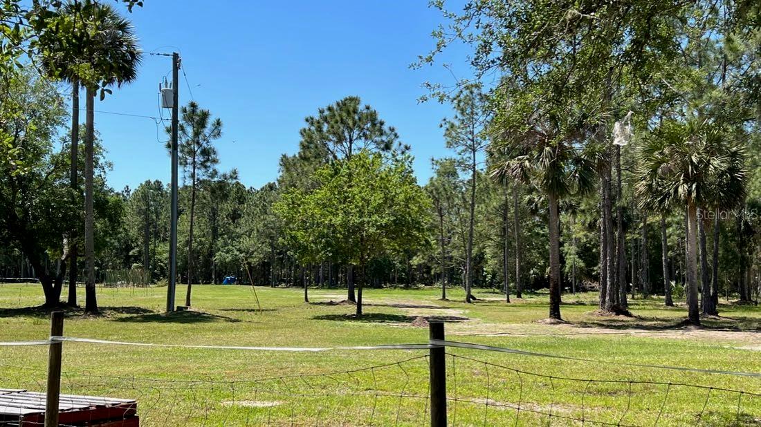 2331 WACCASSA ST, GENEVA, FL, 32732