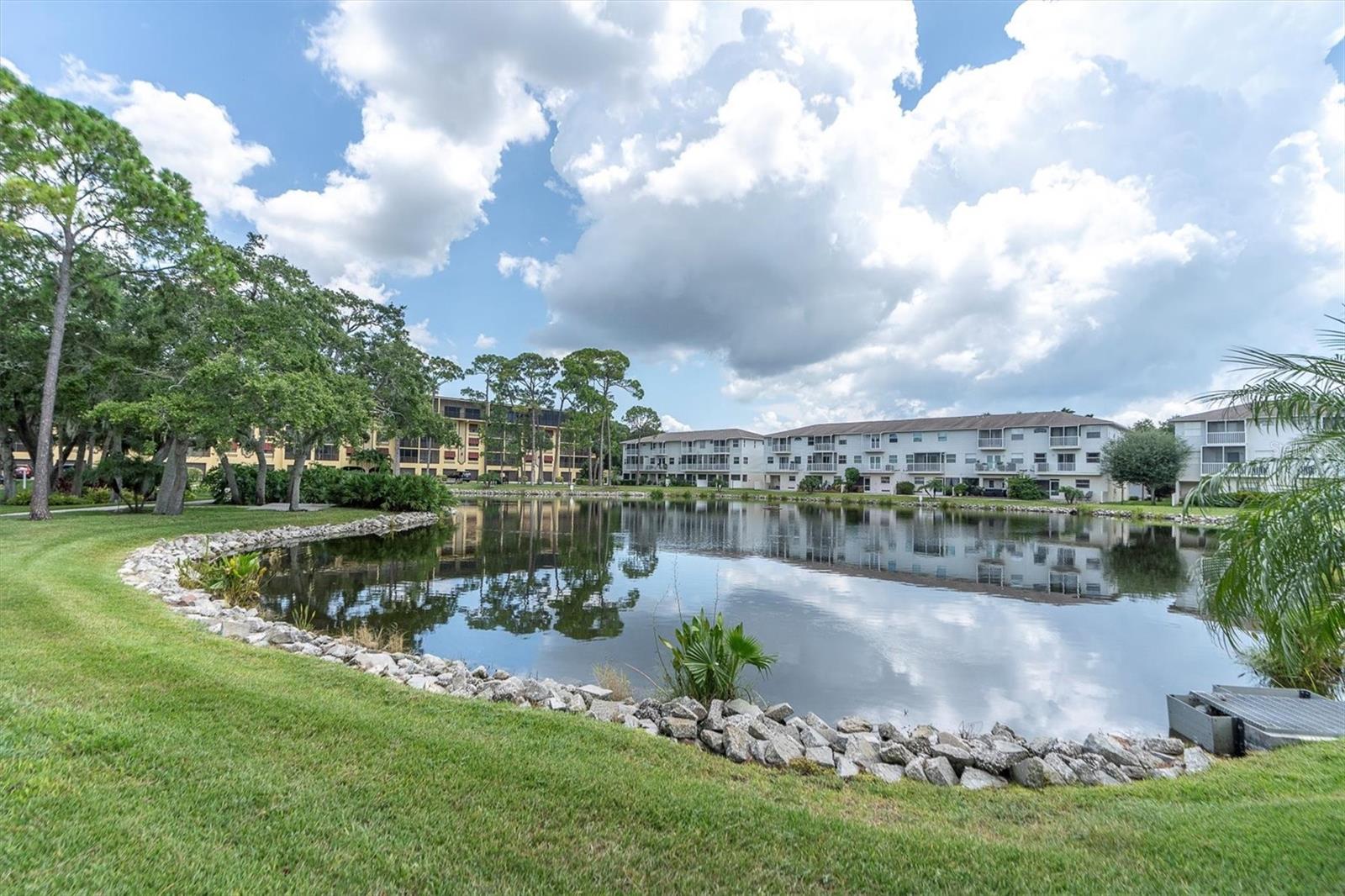 5817 PARK ST N #402, ST PETERSBURG, FL, 33709