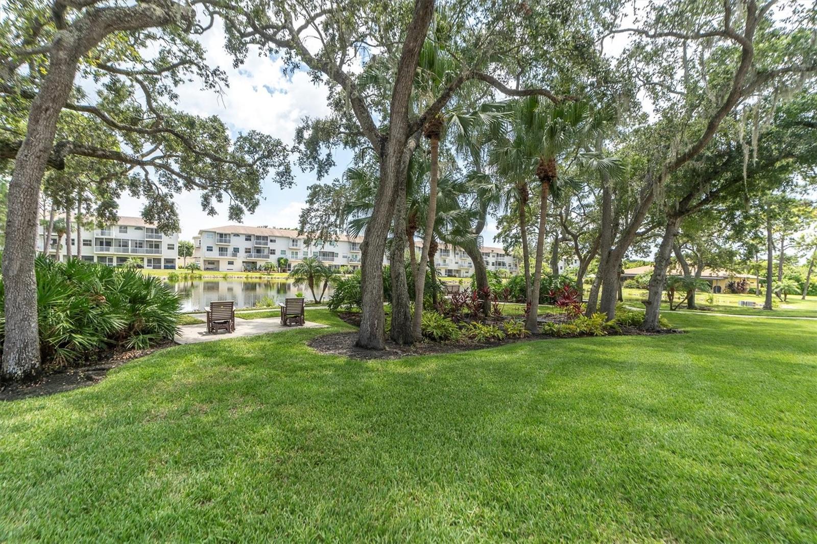 5817 PARK ST N #402, ST PETERSBURG, FL, 33709