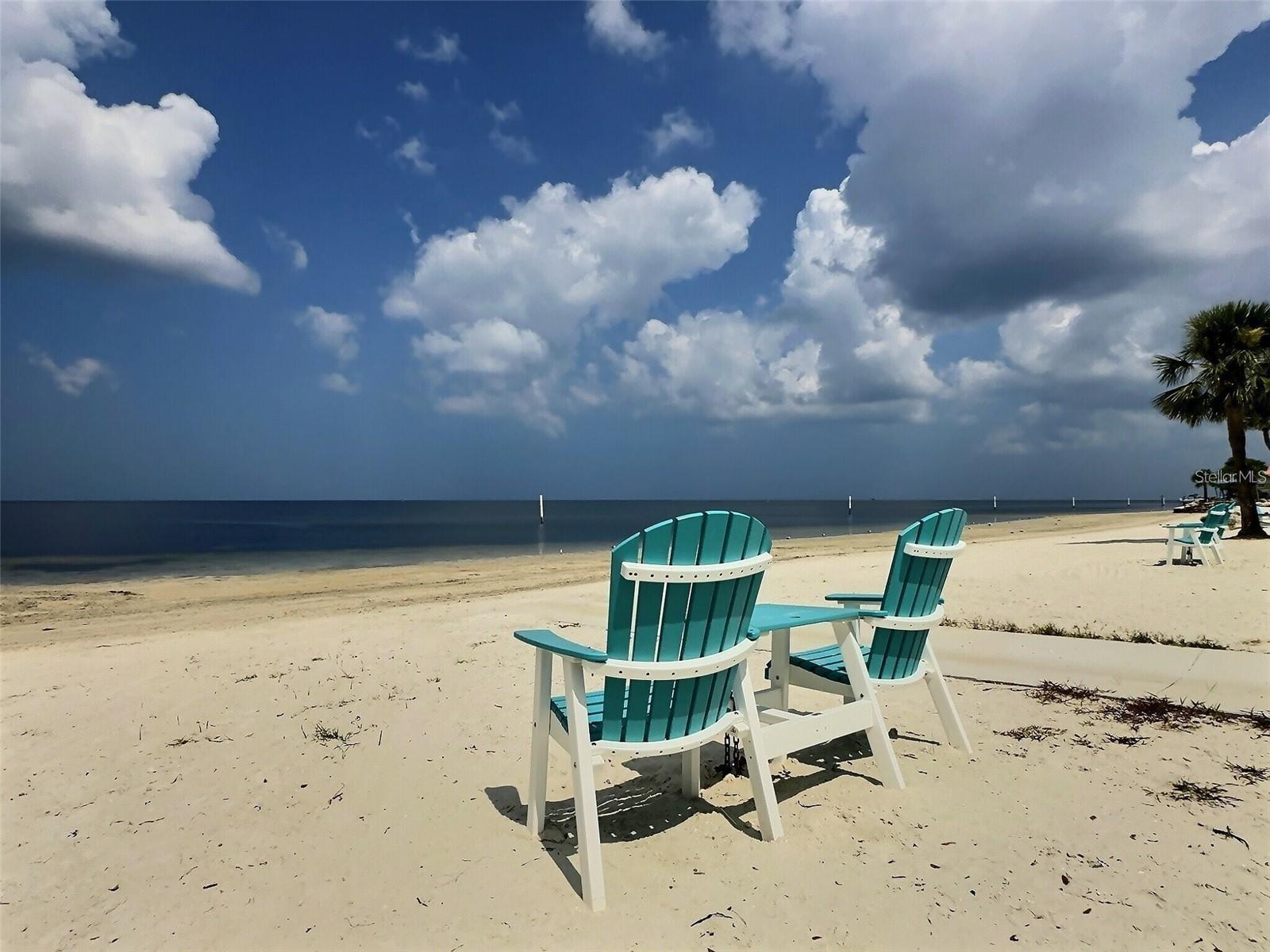 4518 GARNET DR #202, NEW PORT RICHEY, FL, 34652