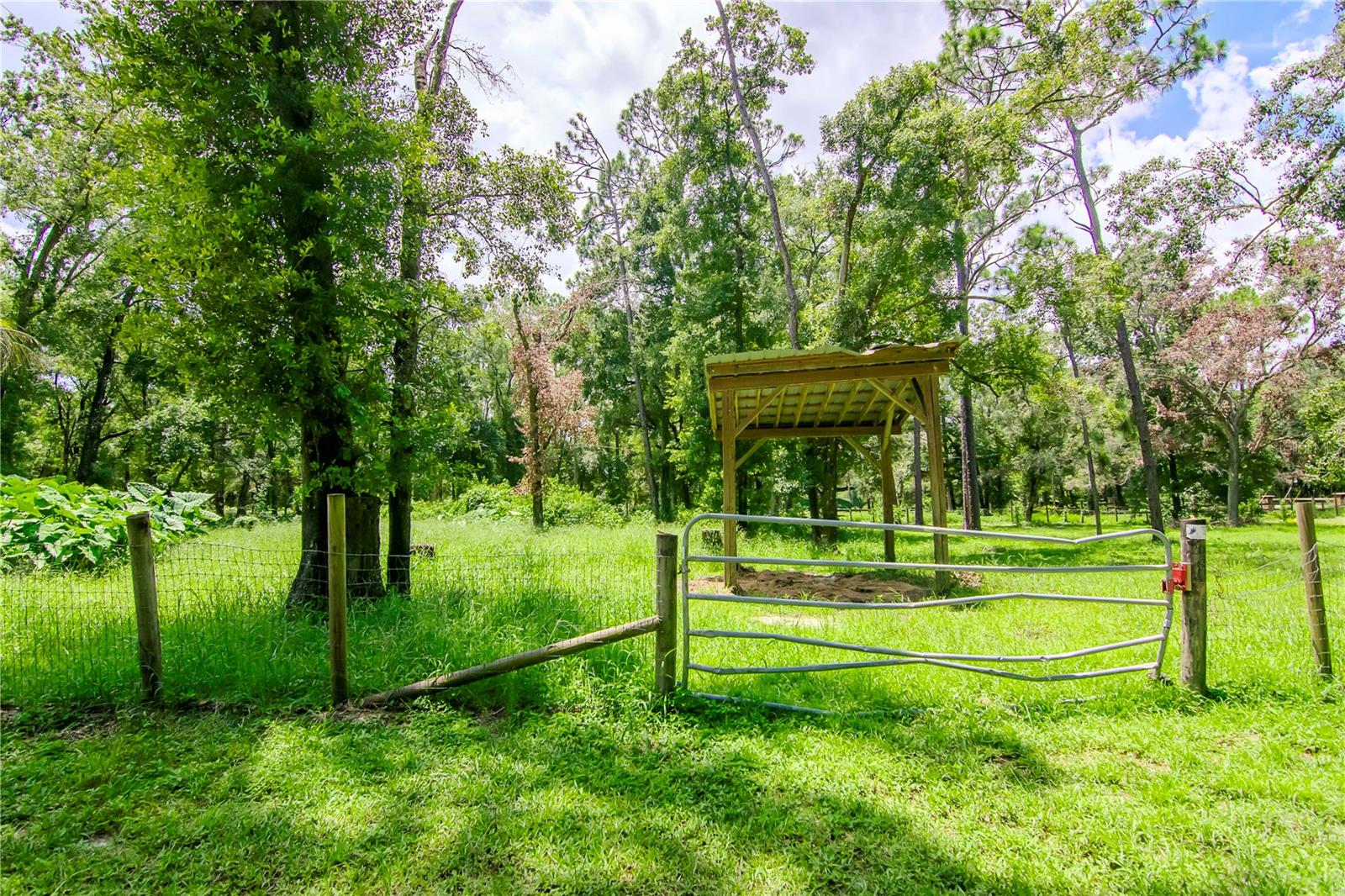 15350 SCANIO DR, SPRING HILL, FL, 34610
