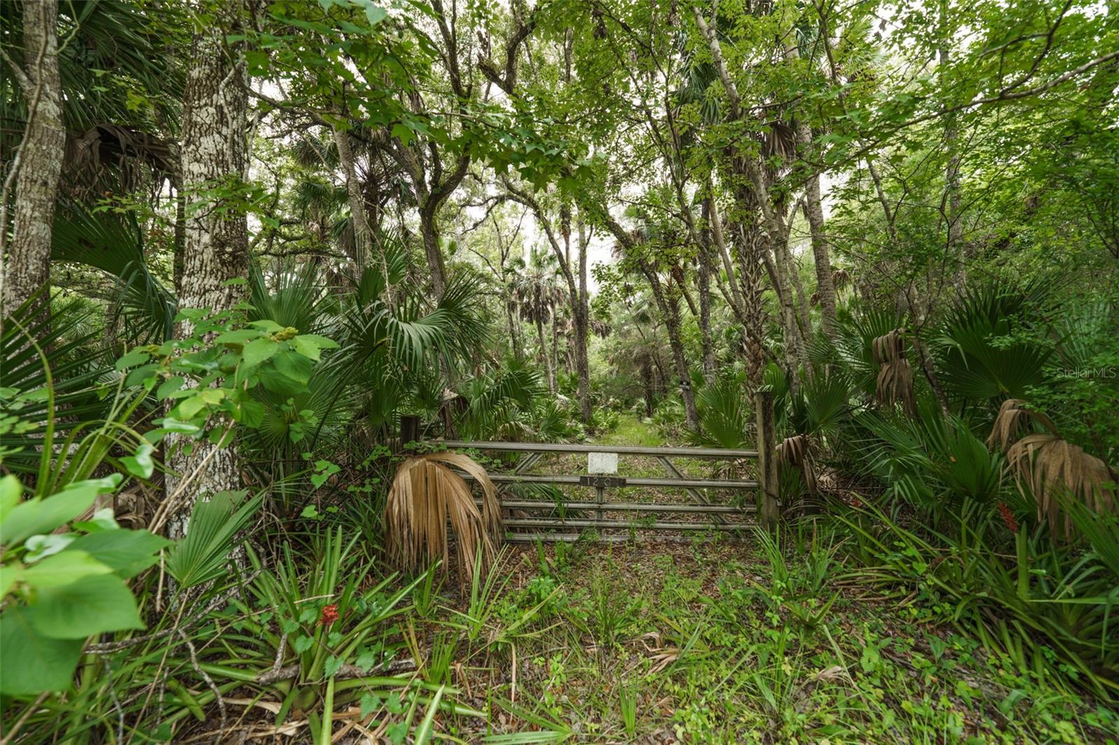 1201 SETTLERS LOOP, GENEVA, FL, 32732