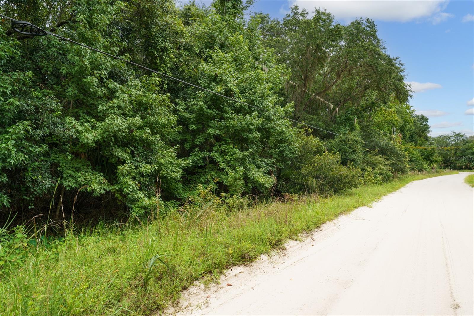 1201 SETTLERS LOOP, GENEVA, FL, 32732