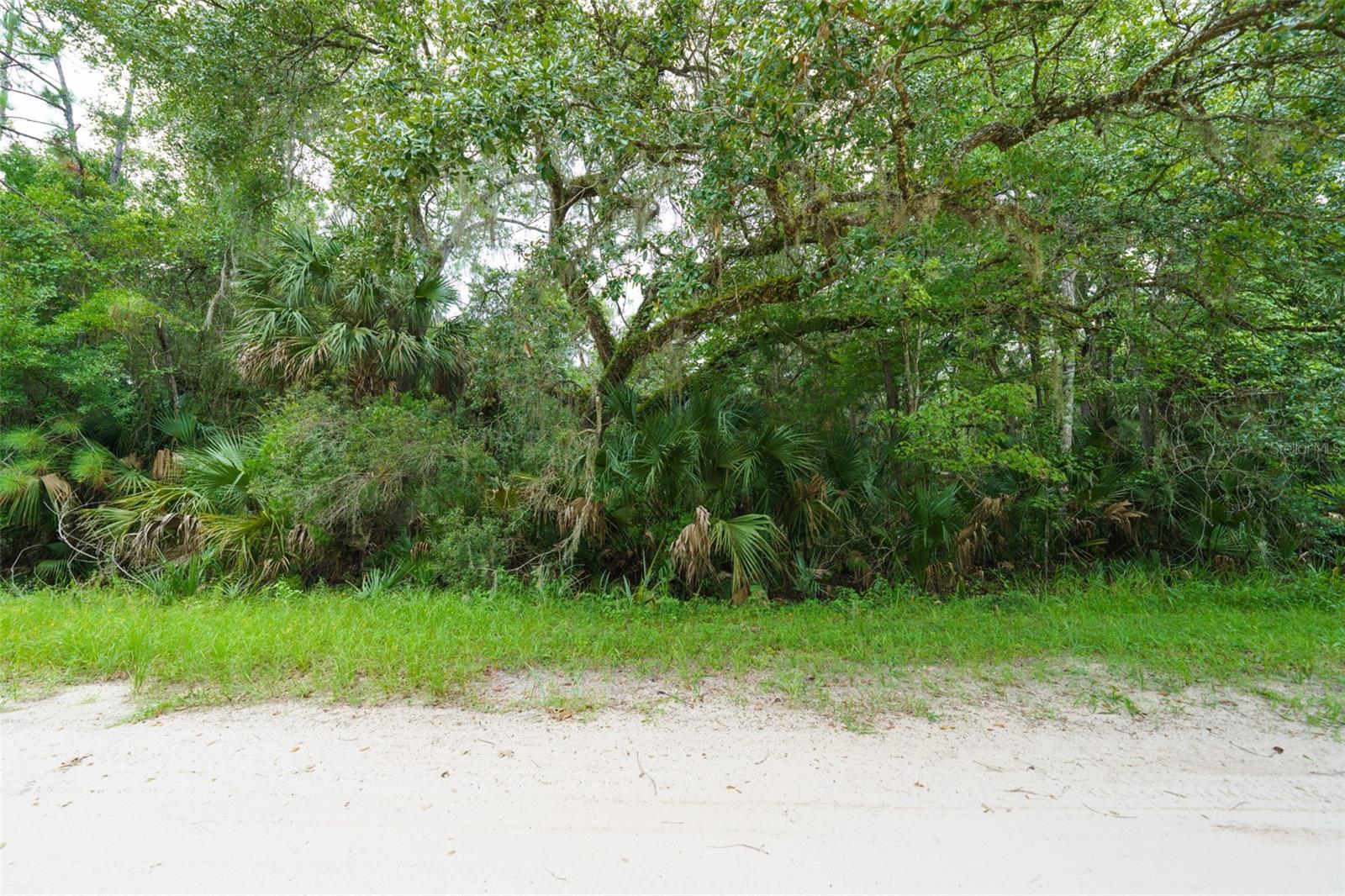 1201 SETTLERS LOOP, GENEVA, FL, 32732