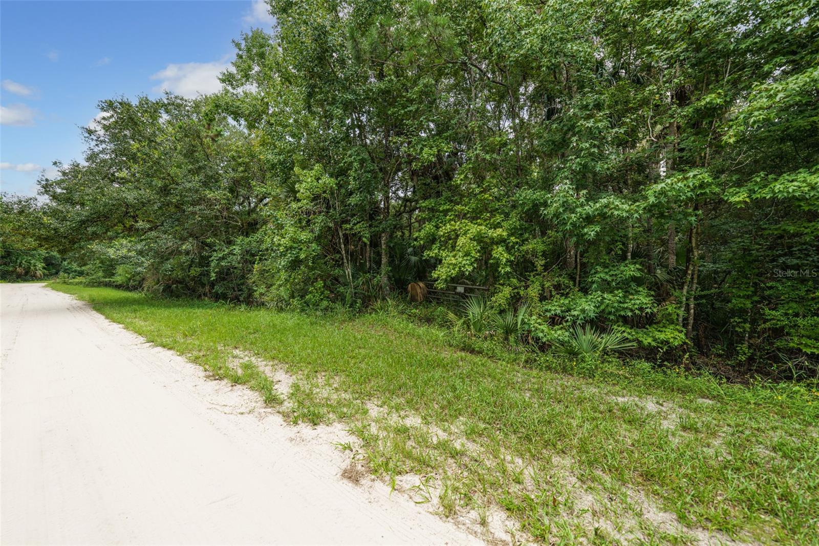 1201 SETTLERS LOOP, GENEVA, FL, 32732