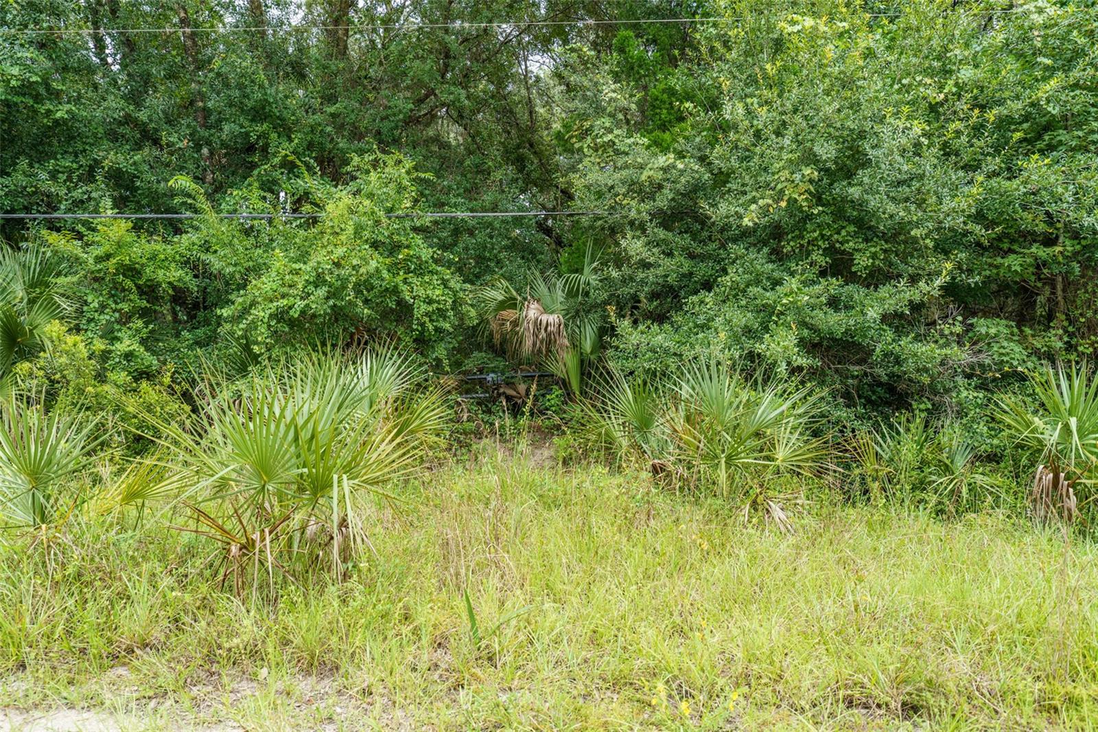 1201 SETTLERS LOOP, GENEVA, FL, 32732
