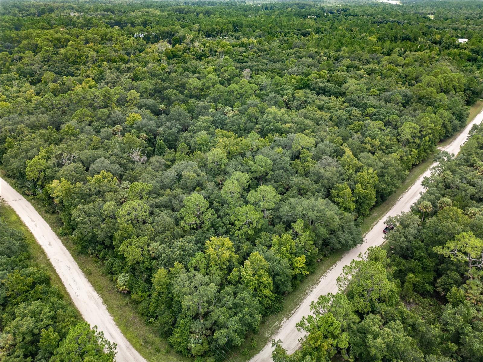 1201 SETTLERS LOOP, GENEVA, FL, 32732