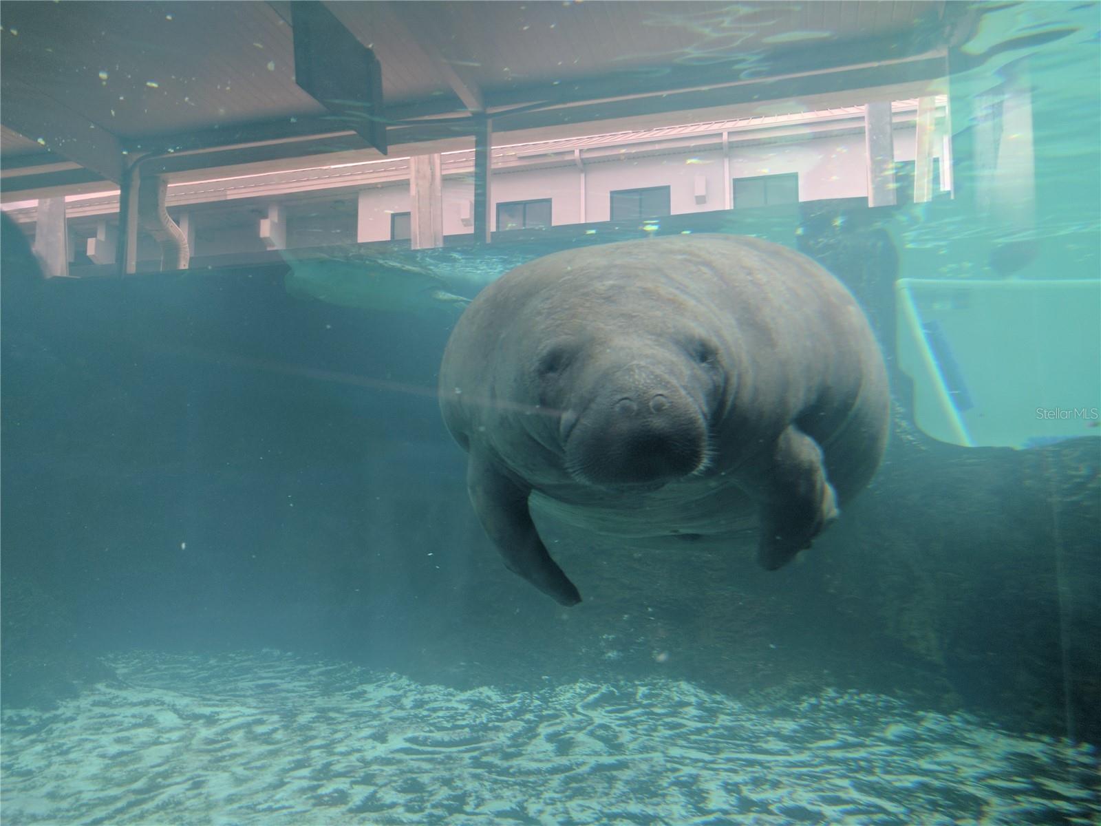 2125 CANAL DR #B23, BRADENTON, FL, 34207