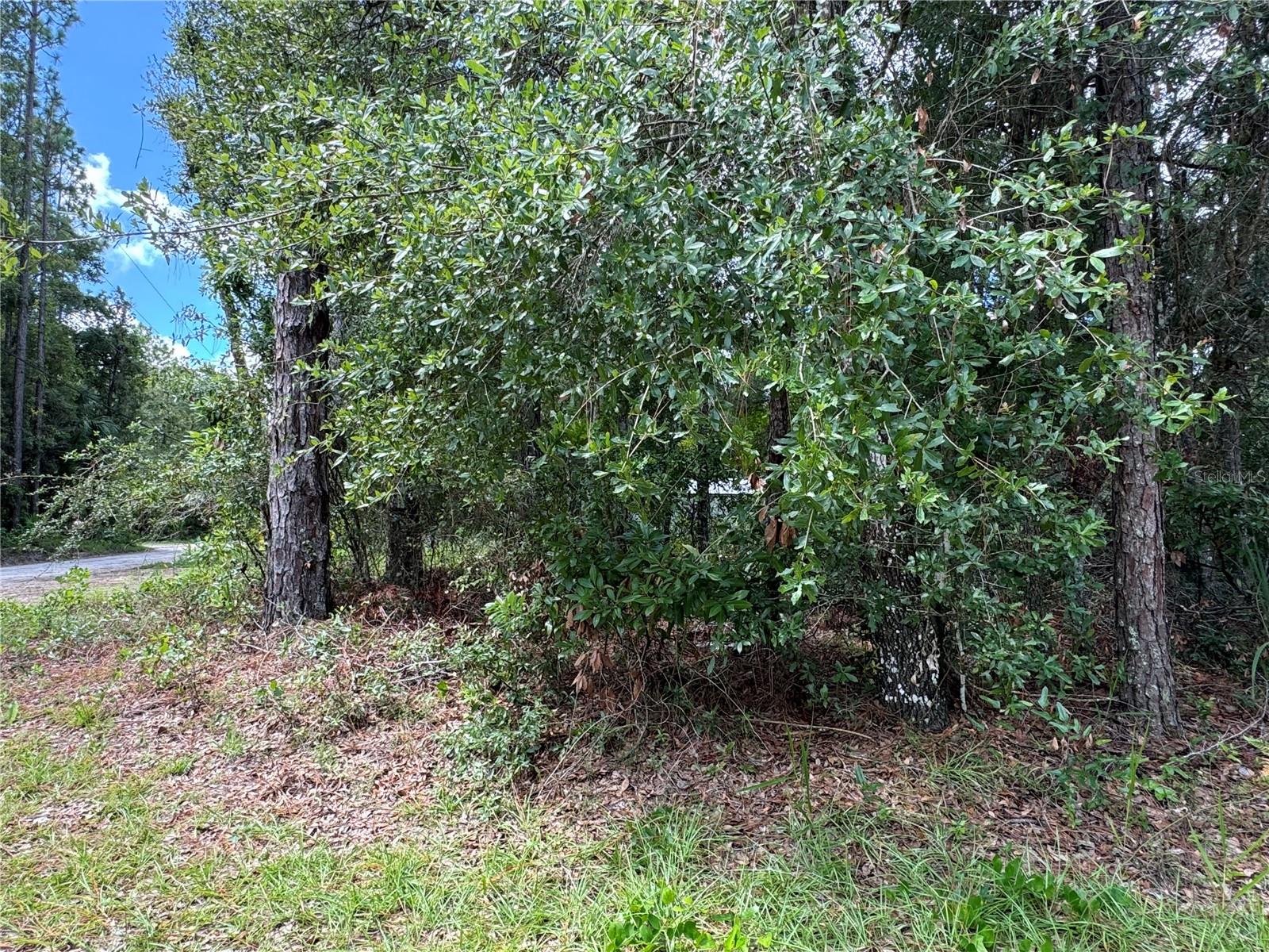 NW 58TH PL, CHIEFLAND, FL, 32626