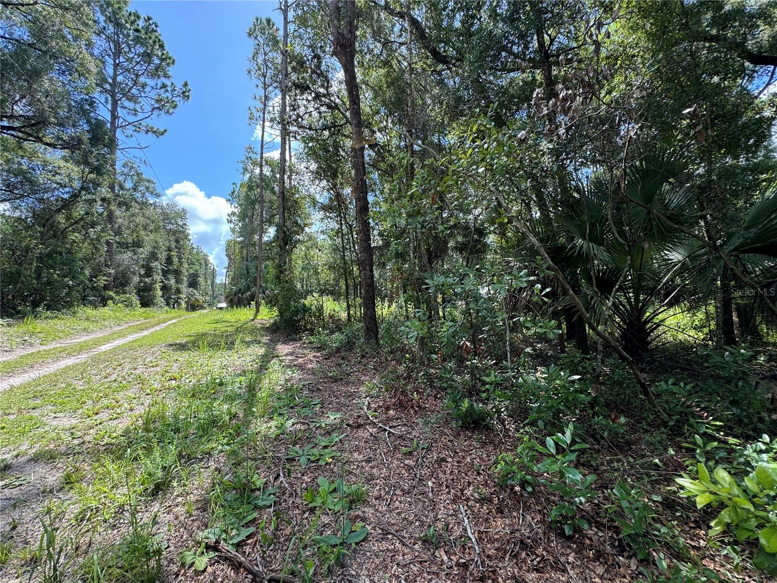 NW 58TH PL, CHIEFLAND, FL, 32626