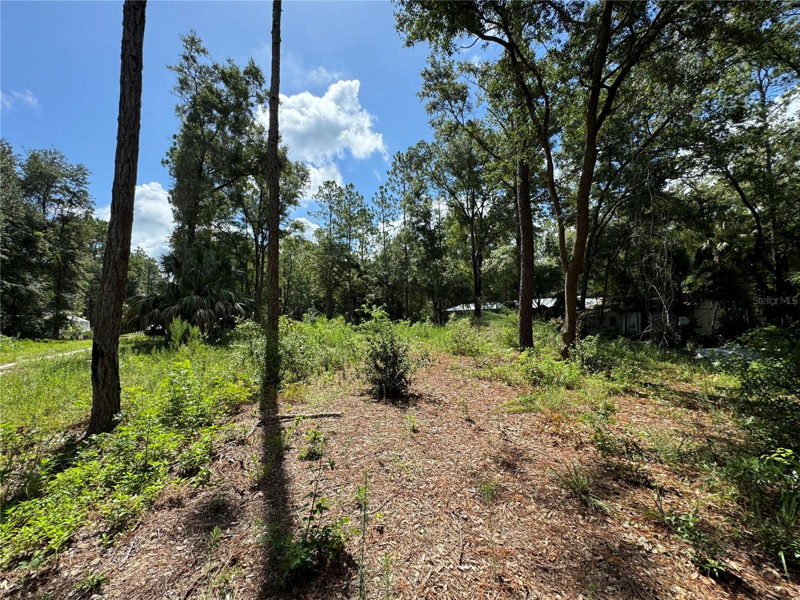 NW 58TH PL, CHIEFLAND, FL, 32626