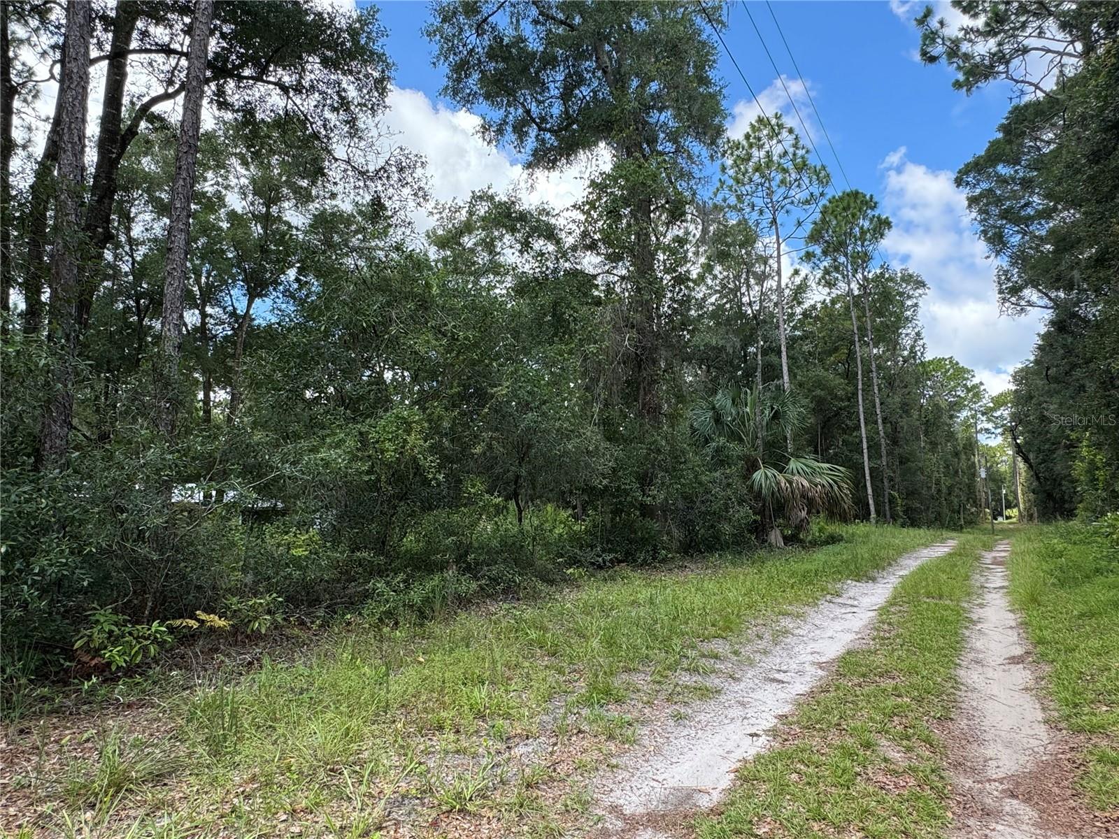 NW 58TH PL, CHIEFLAND, FL, 32626