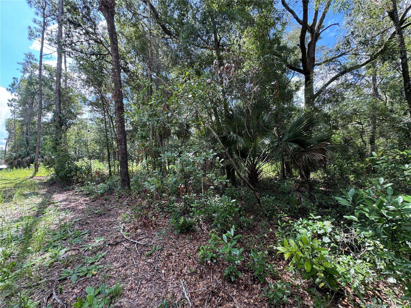 NW 58TH PL, CHIEFLAND, FL, 32626