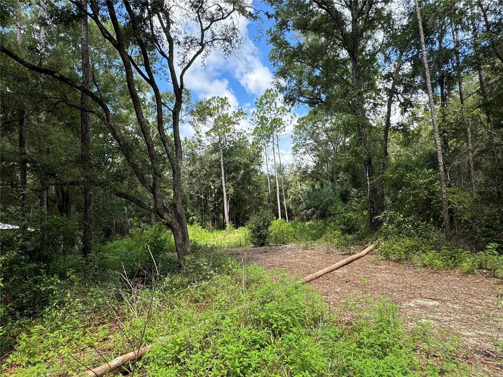 NW 58TH PL, CHIEFLAND, FL, 32626