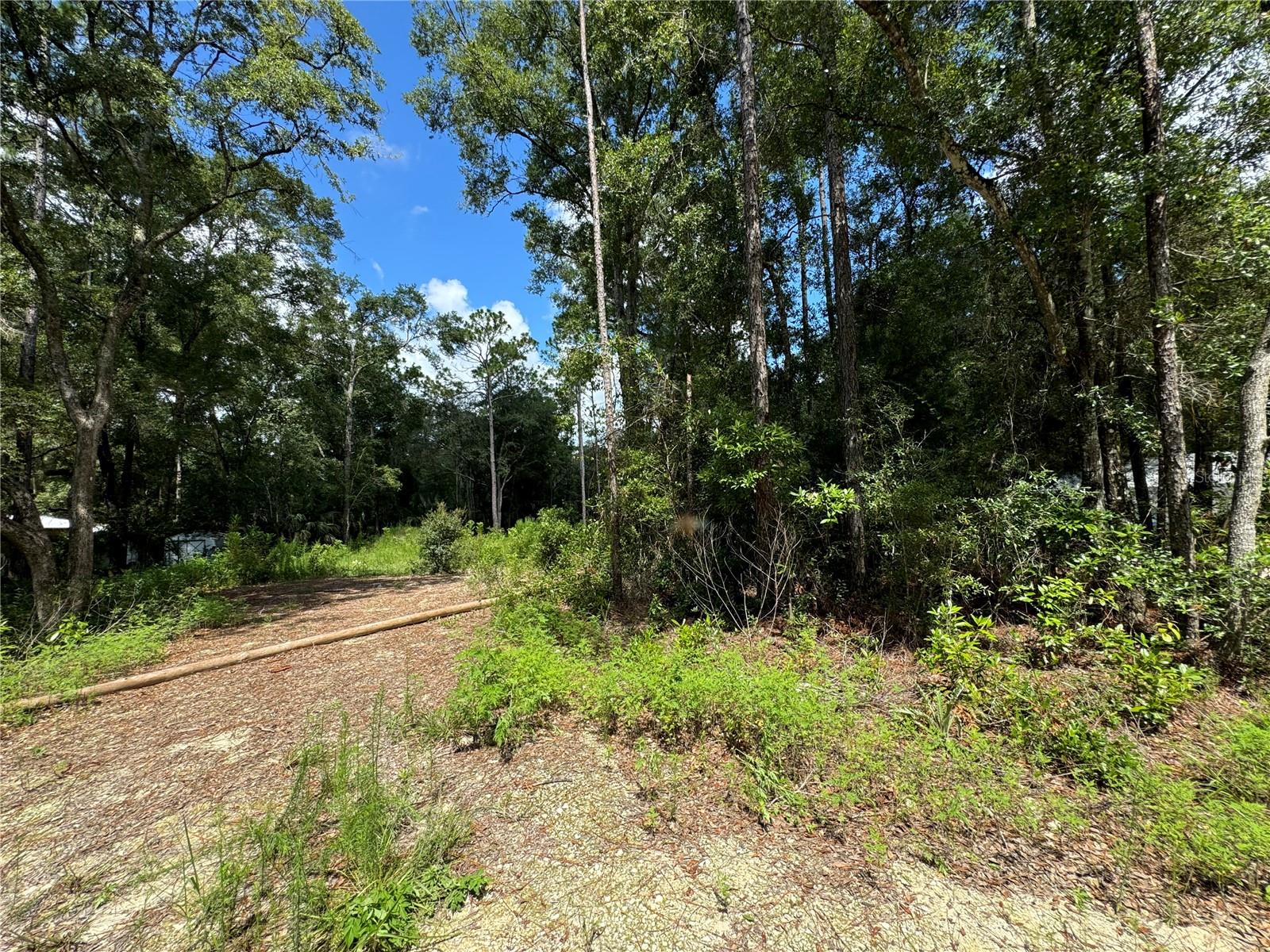 NW 58TH PL, CHIEFLAND, FL, 32626