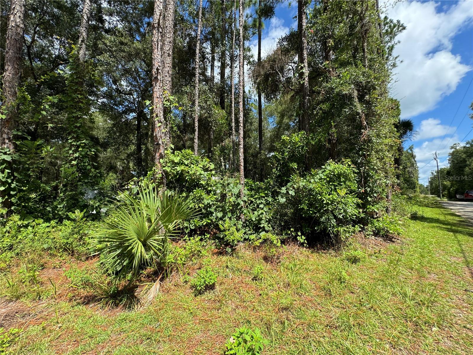 NW 58TH PL, CHIEFLAND, FL, 32626