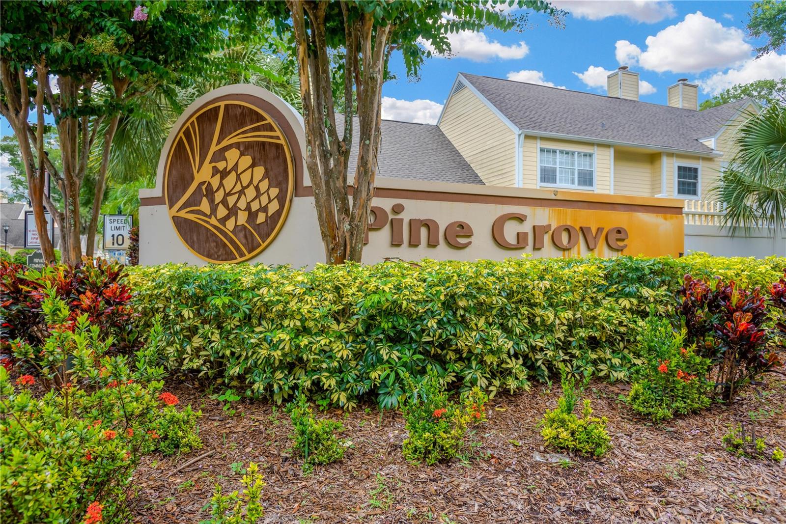 3602 PINE KNOT DR, VALRICO, FL, 33596