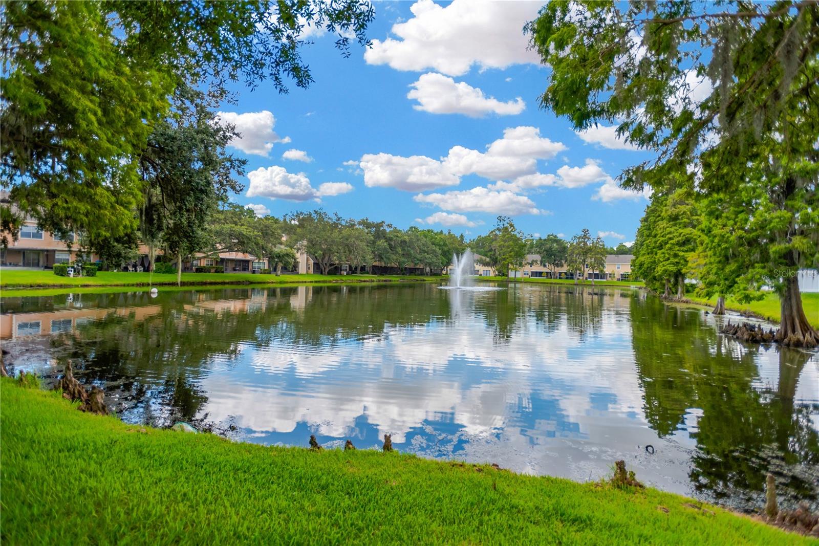 3602 PINE KNOT DR, VALRICO, FL, 33596