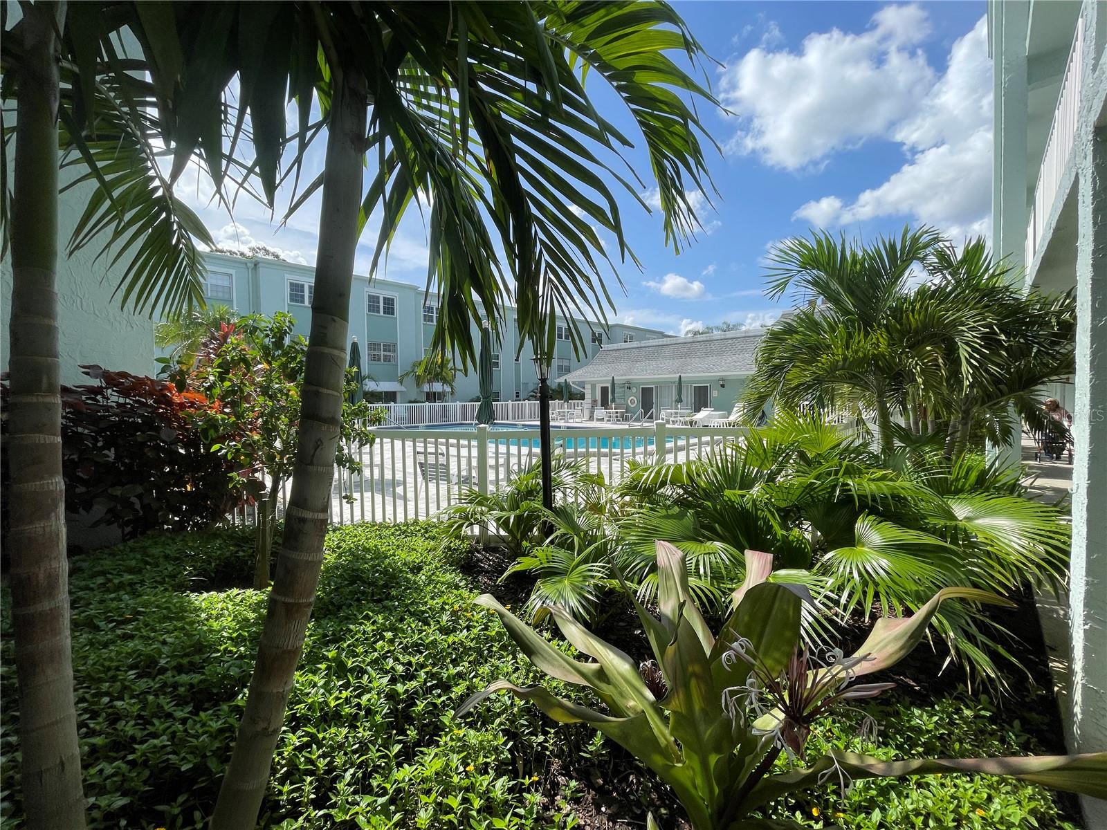 1706 BELLEAIR FOREST DR #214, BELLEAIR, FL, 33756