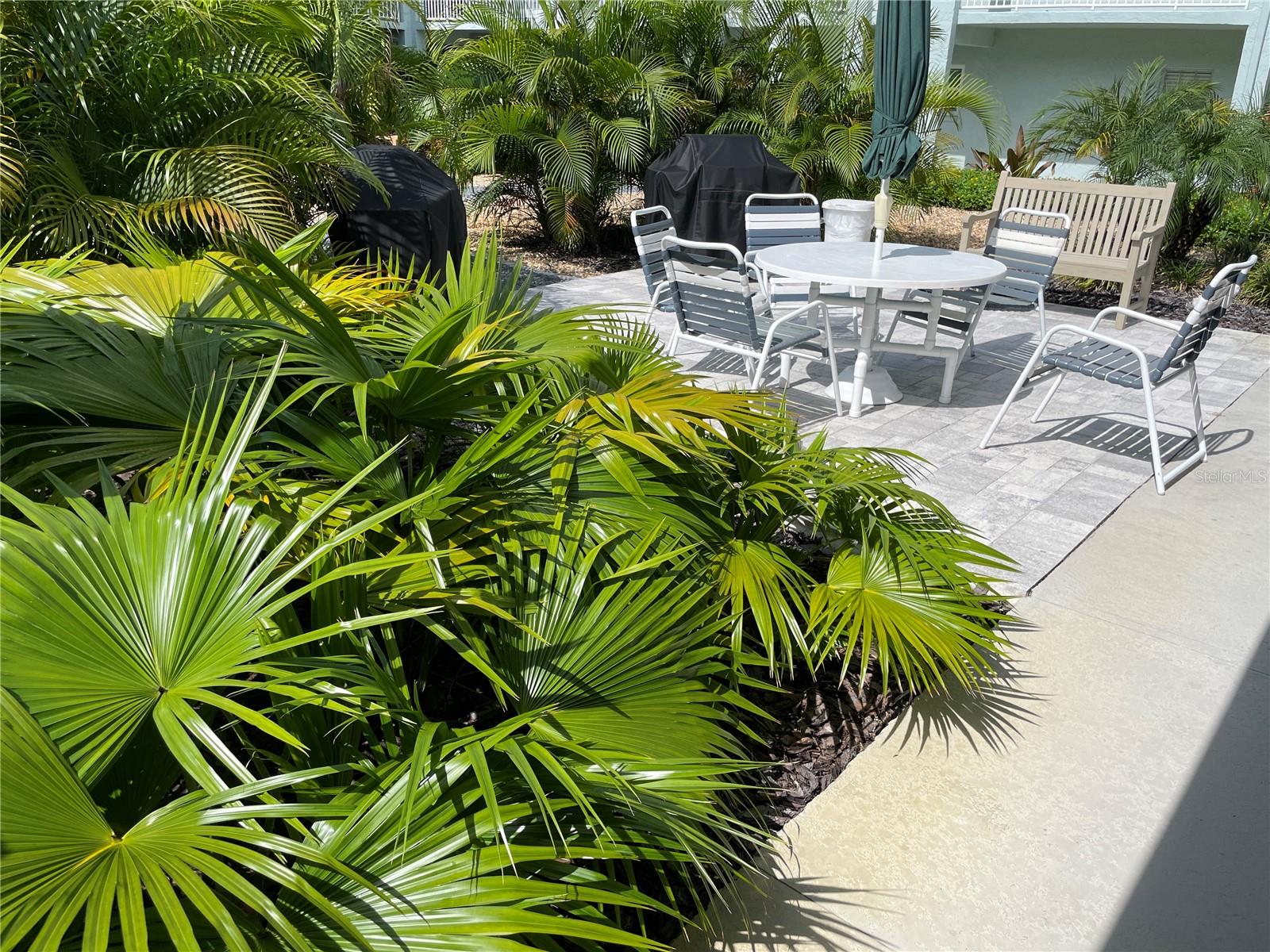 1706 BELLEAIR FOREST DR #214, BELLEAIR, FL, 33756