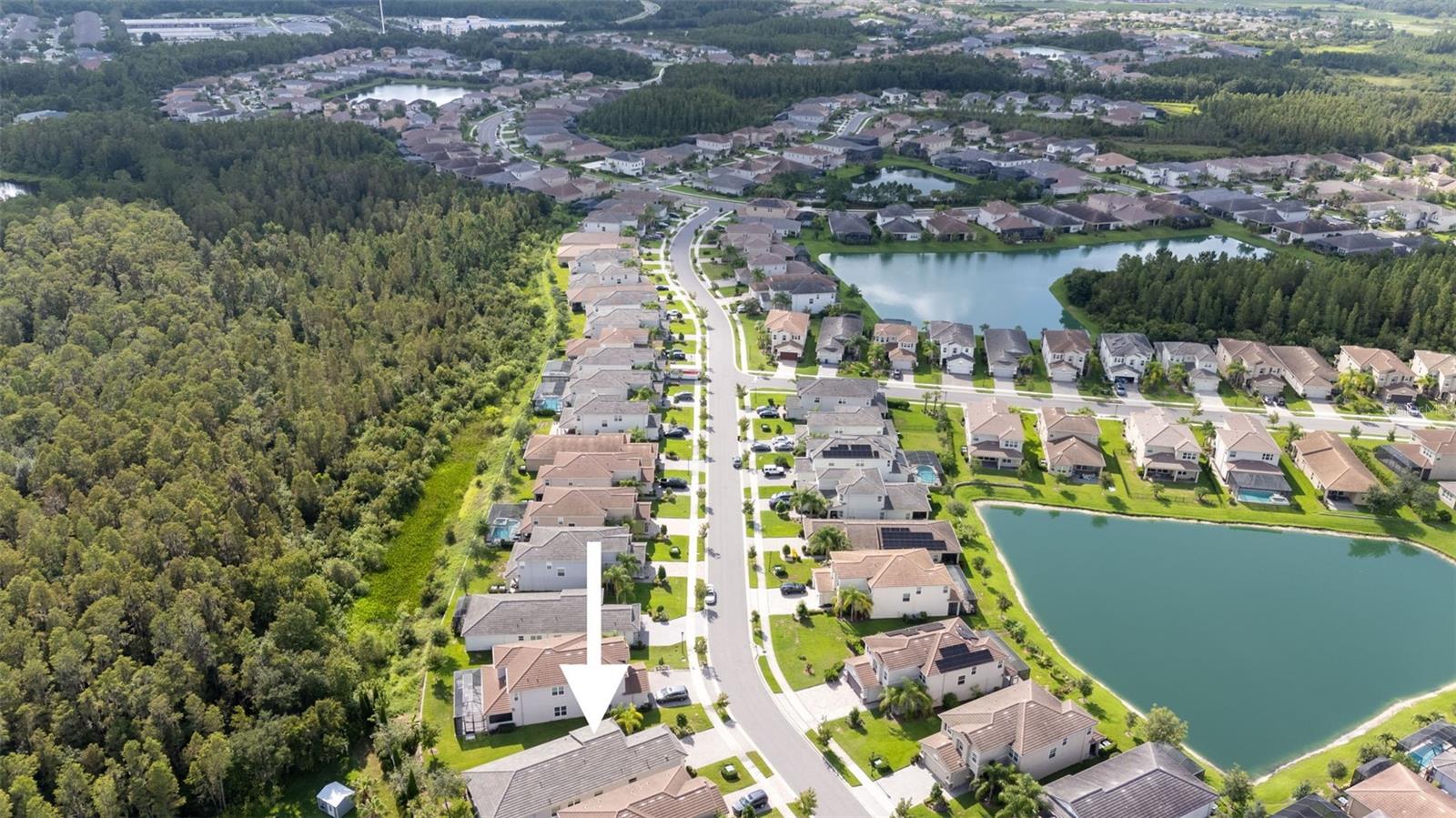 30900 LINDENTREE DR, WESLEY CHAPEL, FL, 33543