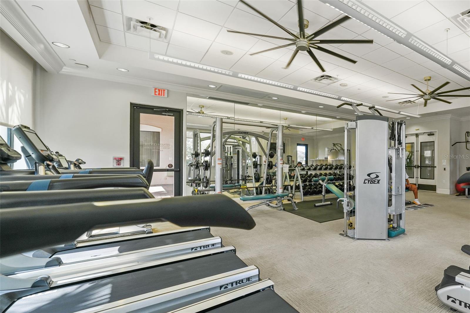 30900 LINDENTREE DR, WESLEY CHAPEL, FL, 33543