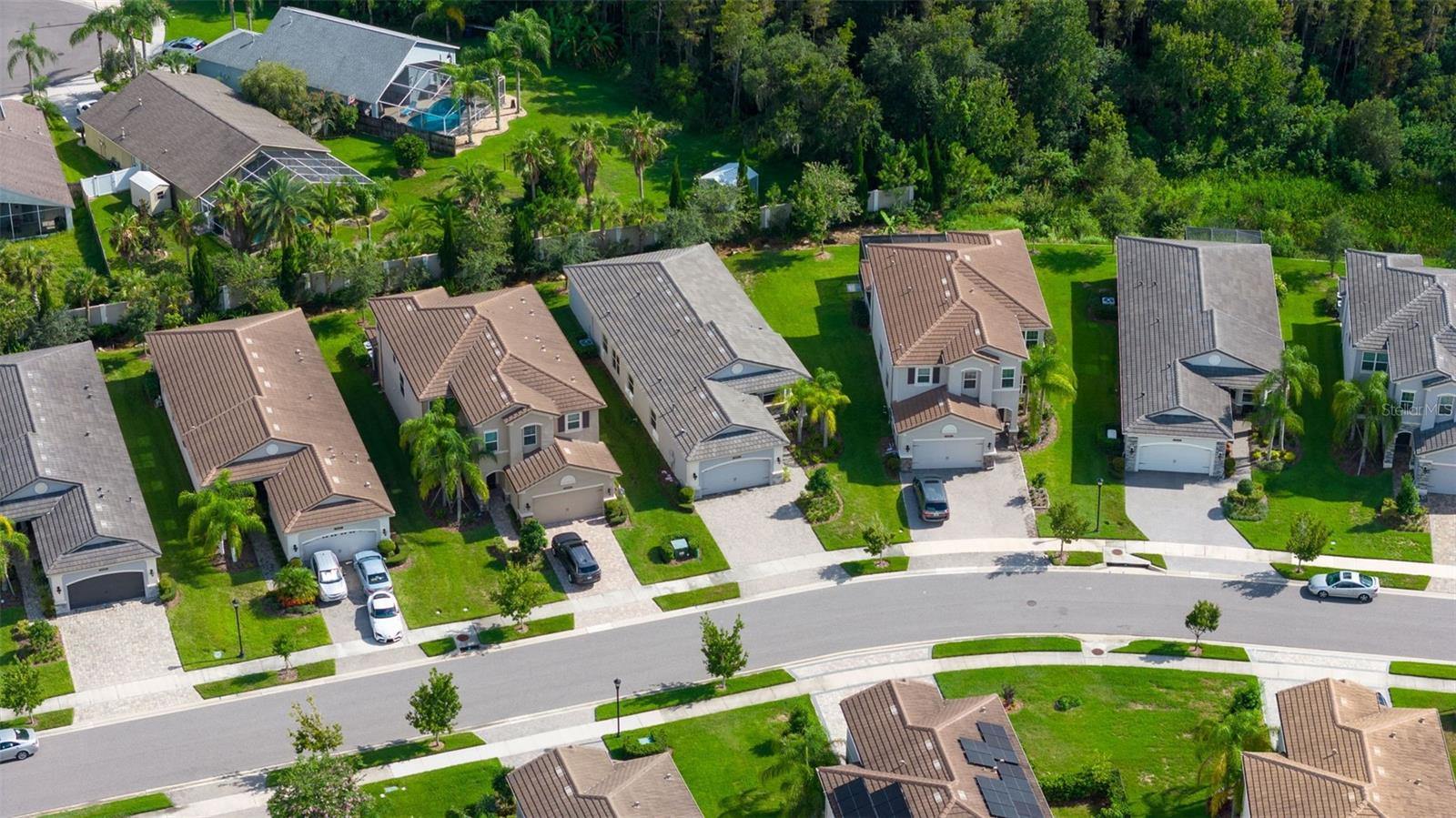 30900 LINDENTREE DR, WESLEY CHAPEL, FL, 33543