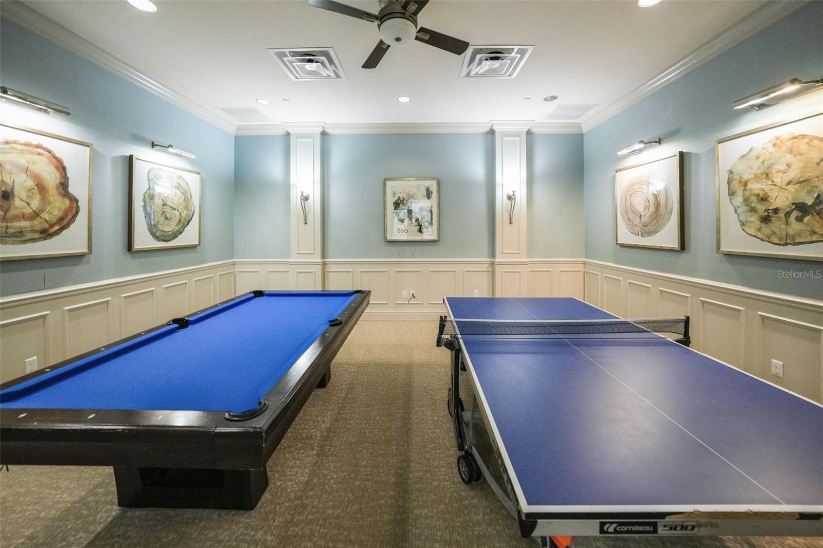 30900 LINDENTREE DR, WESLEY CHAPEL, FL, 33543