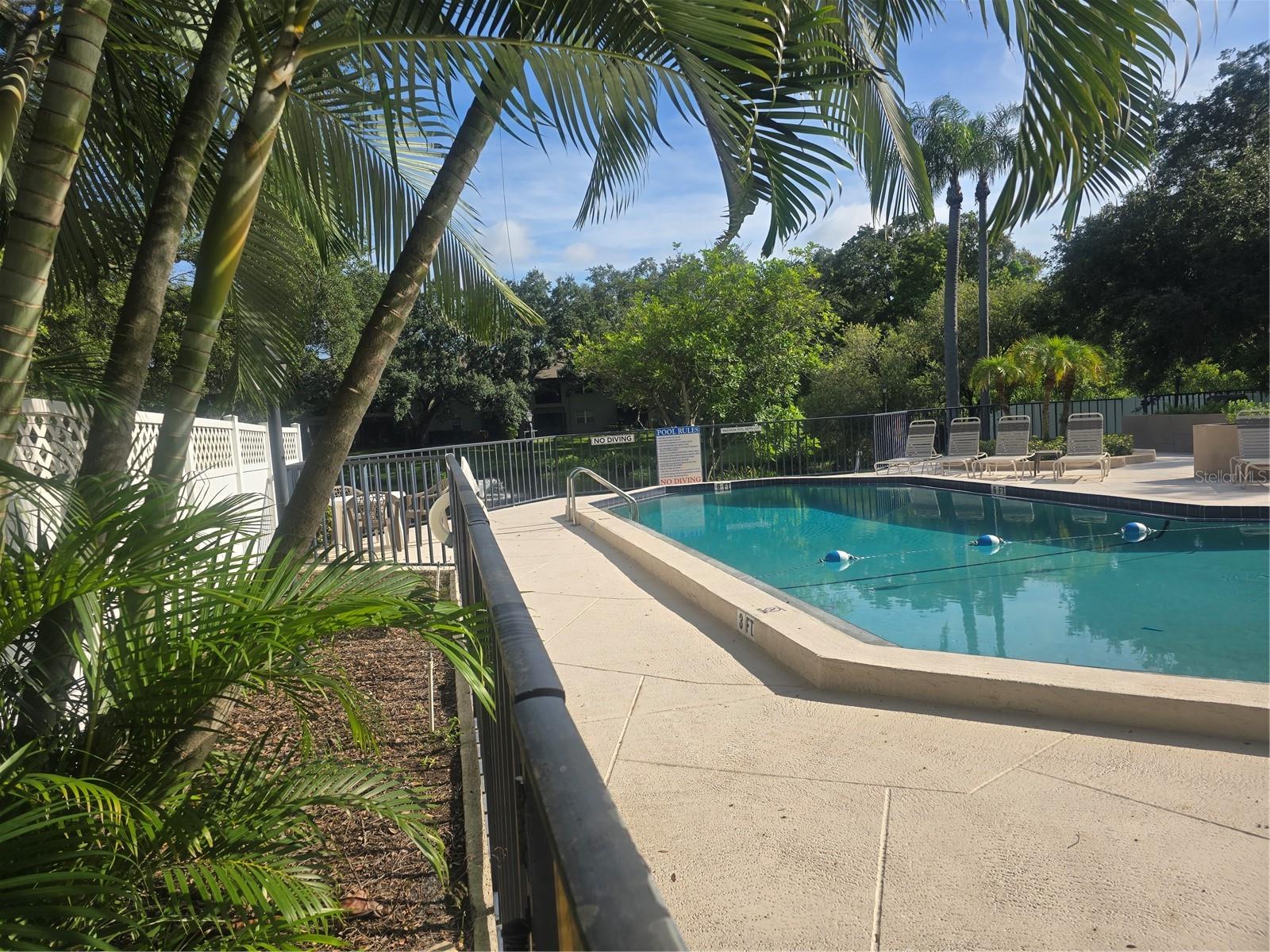5265 E BAY DR #420, CLEARWATER, FL, 33764